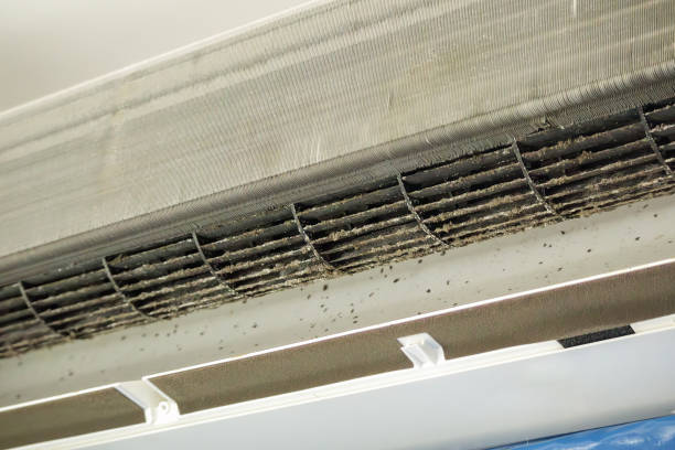 Best Air Duct Cleaning Near Me  in Jackson, WI